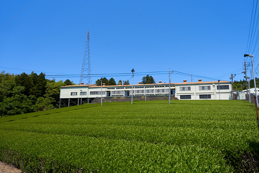 御林茶業組合の茶工場